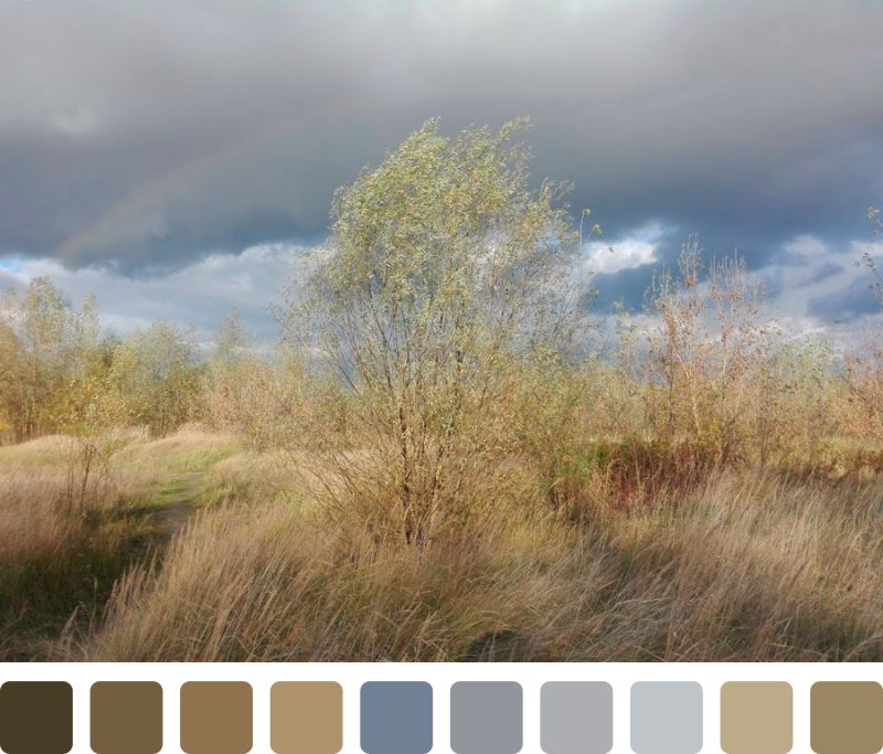 tworzenie palety kolorów ze zdjęcia pejzaż jesienny