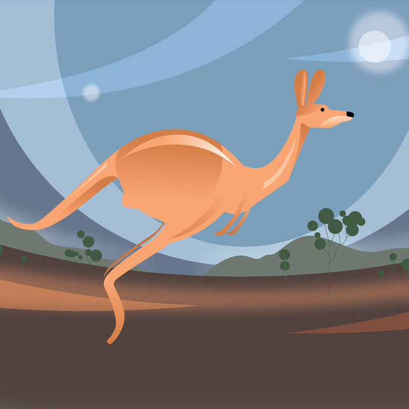 ilustracje Kangur w Australii 