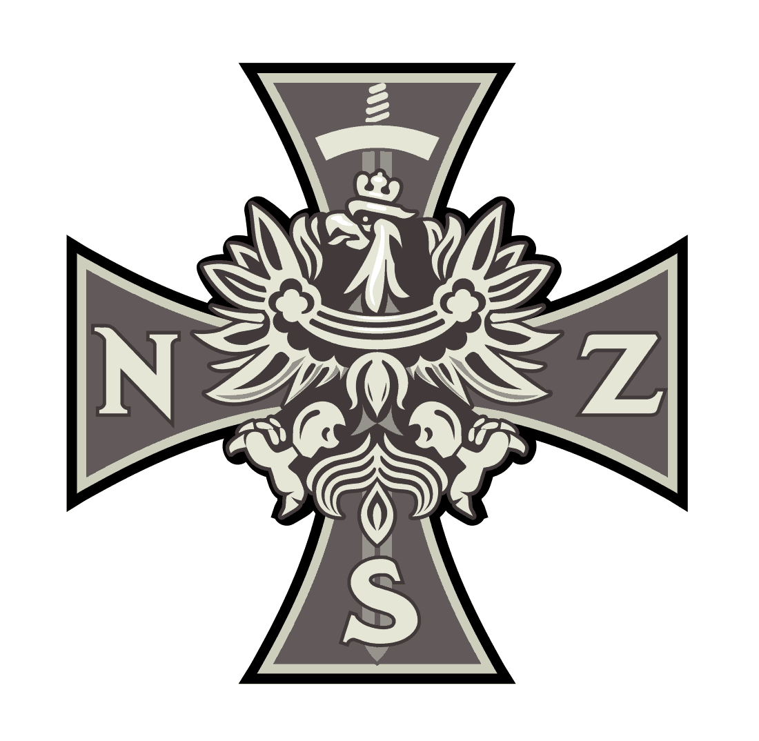 Narodowe Siły Zbrojne krzyż odznaka 