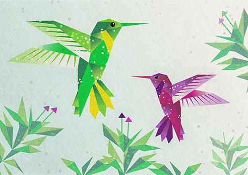 rysunek 2 kolibrów zielonego i czerwonego