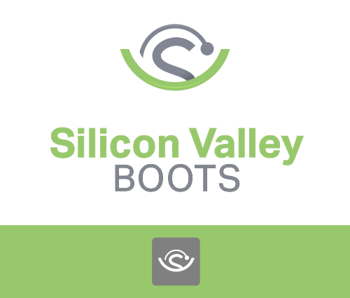 logo Silicon Valley Boot